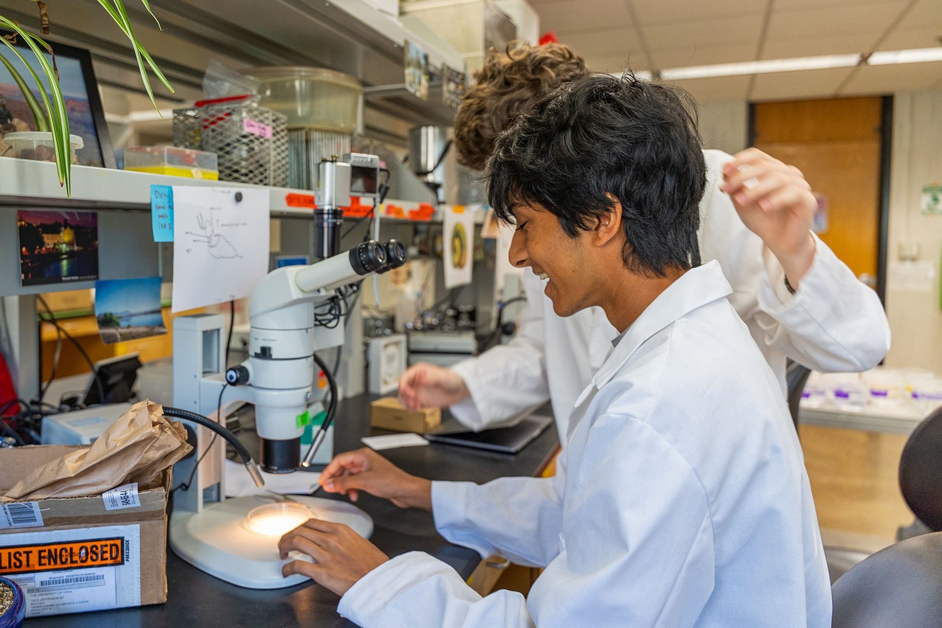 A Secondary Student Training Program student working in a university research lab